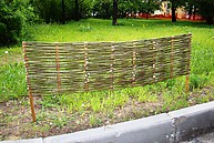 Плетень из ивы